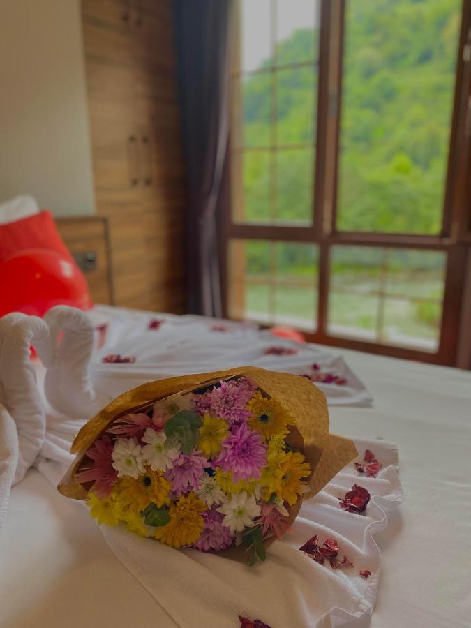 Dd Boutique Hotel Ardesen Ngoại thất bức ảnh